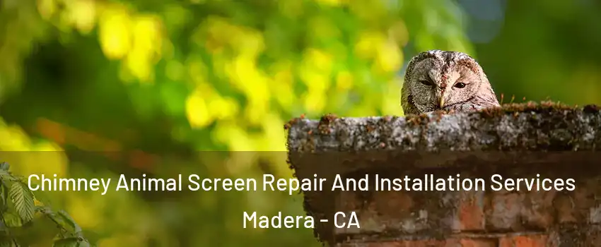  Chimney Animal Screen Repair And Installation Services Madera - CA