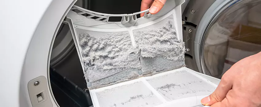Best Dryer Lint Removal Company in Madera, California