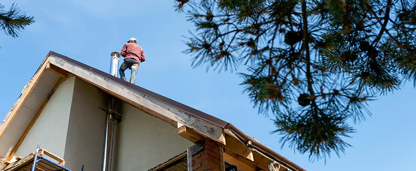Birds Removal Contractors from Chimney in Madera, CA